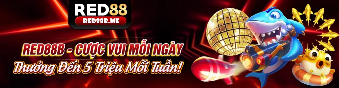 Ưu đãi đặc biệt cho thành viên VIP